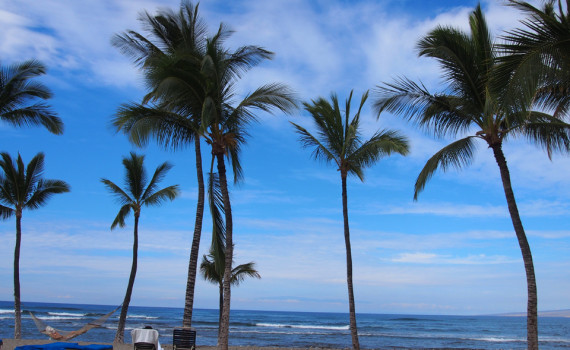 株式会社こひろトップイメージ