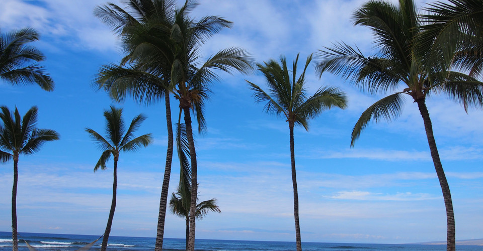 株式会社こひろトップイメージ